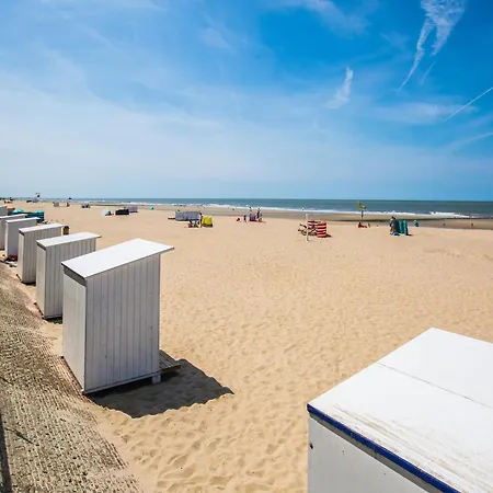 Modern Near The Sea *